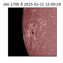 saia - 2025-02-11T12:00:28.718000