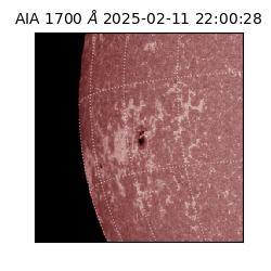 saia - 2025-02-11T22:00:28.717000