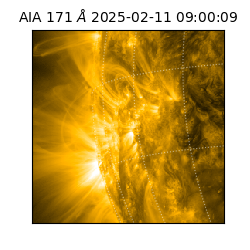 saia - 2025-02-11T09:00:09.350000