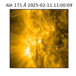 saia - 2025-02-11T11:00:09.350000