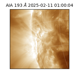 saia - 2025-02-11T01:00:04.843000