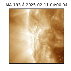 saia - 2025-02-11T04:00:04.843000