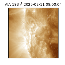 saia - 2025-02-11T09:00:04.843000