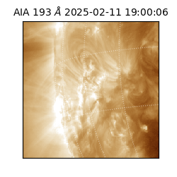 saia - 2025-02-11T19:00:06.647000