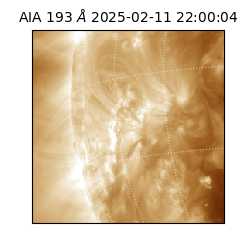 saia - 2025-02-11T22:00:04.847000