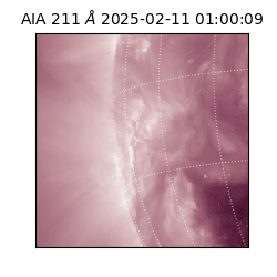 saia - 2025-02-11T01:00:09.626000