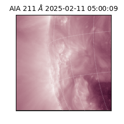 saia - 2025-02-11T05:00:09.630000