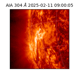 saia - 2025-02-11T09:00:05.130000