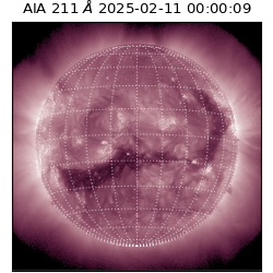 saia - 2025-02-11T00:00:09.626000