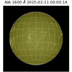 saia - 2025-02-11T00:00:14.126000