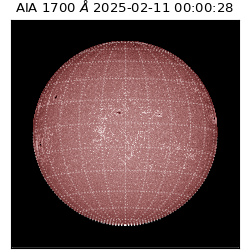 saia - 2025-02-11T00:00:28.718000