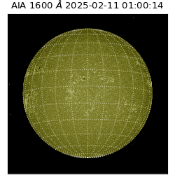 saia - 2025-02-11T01:00:14.125000