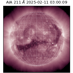 saia - 2025-02-11T03:00:09.630000