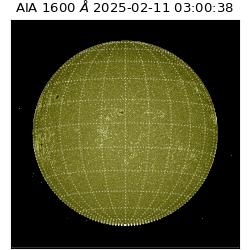 saia - 2025-02-11T03:00:38.133000