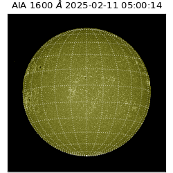 saia - 2025-02-11T05:00:14.126000
