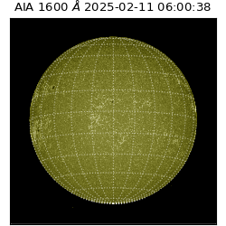 saia - 2025-02-11T06:00:38.125000