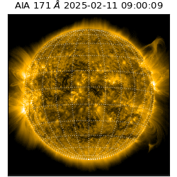 saia - 2025-02-11T09:00:09.350000