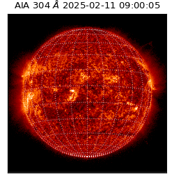 saia - 2025-02-11T09:00:05.130000