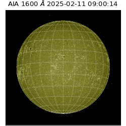 saia - 2025-02-11T09:00:14.126000