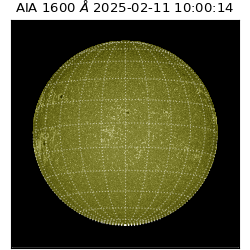 saia - 2025-02-11T10:00:14.129000