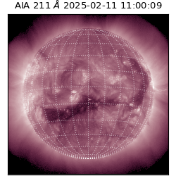 saia - 2025-02-11T11:00:09.626000