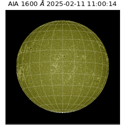 saia - 2025-02-11T11:00:14.126000