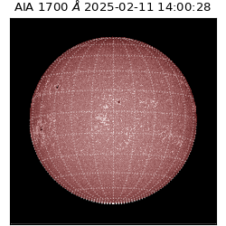 saia - 2025-02-11T14:00:28.717000