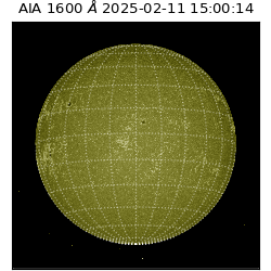 saia - 2025-02-11T15:00:14.125000
