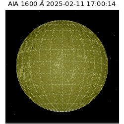 saia - 2025-02-11T17:00:14.129000