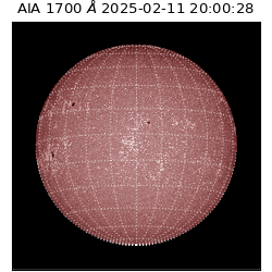 saia - 2025-02-11T20:00:28.718000