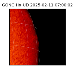 gong - 2025-02-11T07:00:02