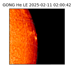 gong - 2025-02-11T02:00:42