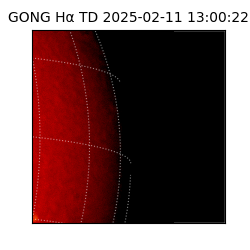 gong - 2025-02-11T13:00:22