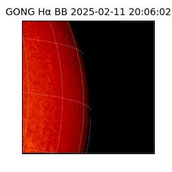 gong - 2025-02-11T20:06:02
