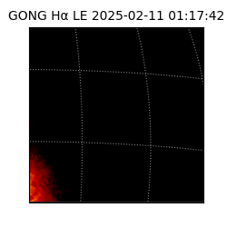 gong - 2025-02-11T01:17:42