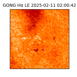gong - 2025-02-11T02:00:42