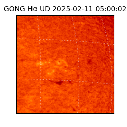 gong - 2025-02-11T05:00:02