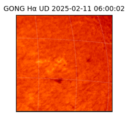 gong - 2025-02-11T06:00:02