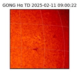 gong - 2025-02-11T09:00:22