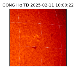 gong - 2025-02-11T10:00:22