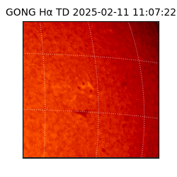 gong - 2025-02-11T11:07:22
