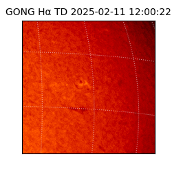 gong - 2025-02-11T12:00:22