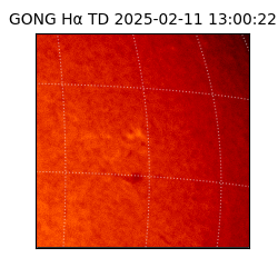 gong - 2025-02-11T13:00:22