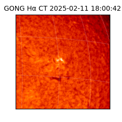 gong - 2025-02-11T18:00:42