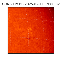 gong - 2025-02-11T19:00:02