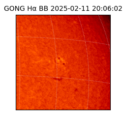 gong - 2025-02-11T20:06:02