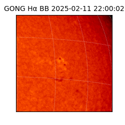 gong - 2025-02-11T22:00:02