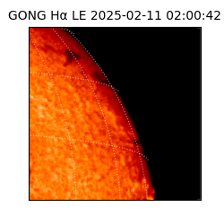 gong - 2025-02-11T02:00:42
