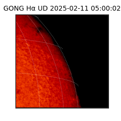 gong - 2025-02-11T05:00:02