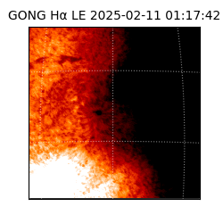 gong - 2025-02-11T01:17:42